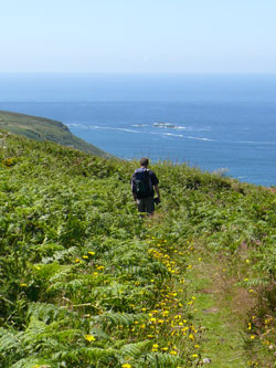 Cliffs in Cornwall