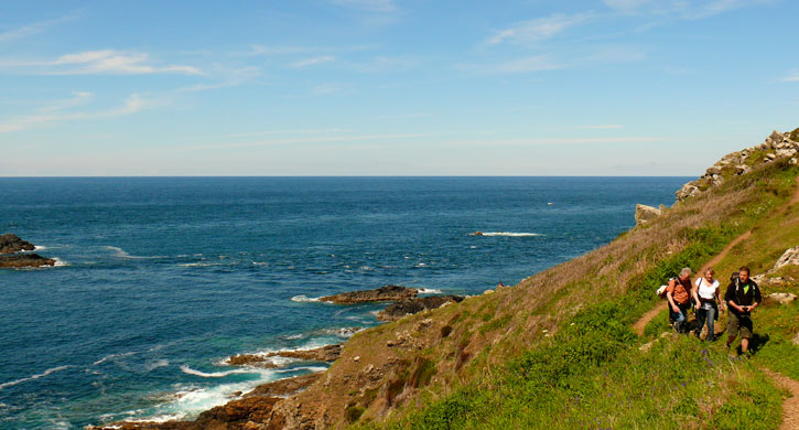 view from a guided walk cornwall