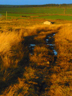 sunset terrain cornwall